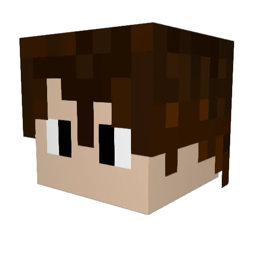 Frute94 Minecraft avatar head, 3D render