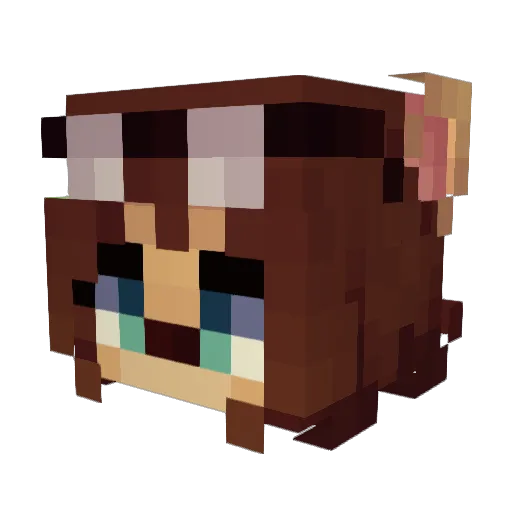 FrutigerAnti Minecraft avatar head, 3D render