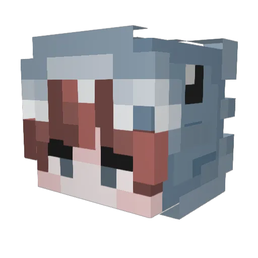 FruuitSnacks Minecraft avatar head, 3D render