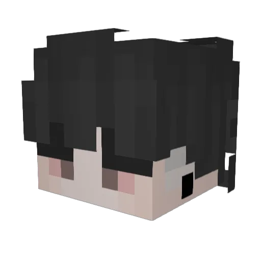 Frvg Minecraft avatar head, 3D render