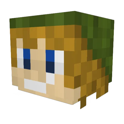 Frwct1 Minecraft avatar head, 3D render
