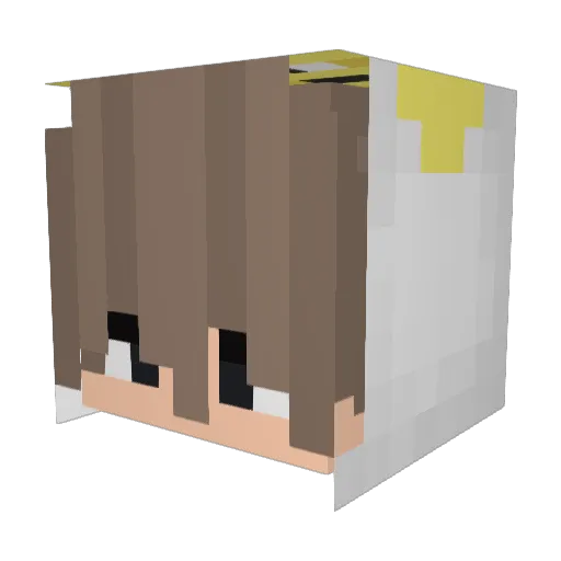 Frxm Minecraft avatar head, 3D render