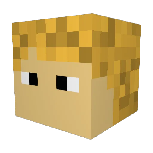 Frxmee Minecraft avatar head, 3D render