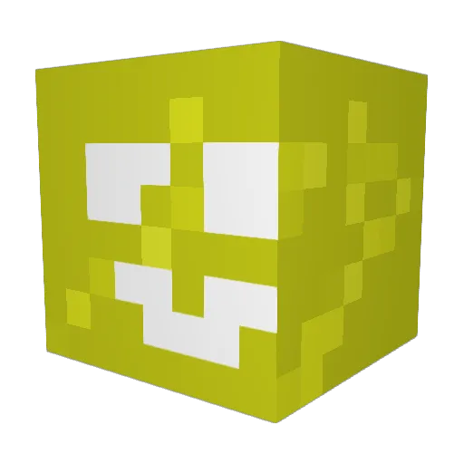 Frxsin Minecraft avatar head, 3D render