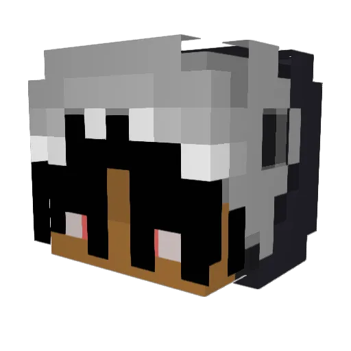 Frxstipoo Minecraft avatar head, 3D render