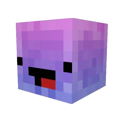 Frxzen_Insxnity Minecraft avatar head, 3D render