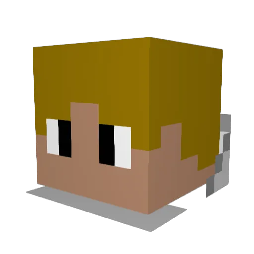 Fry799 Minecraft avatar head, 3D render