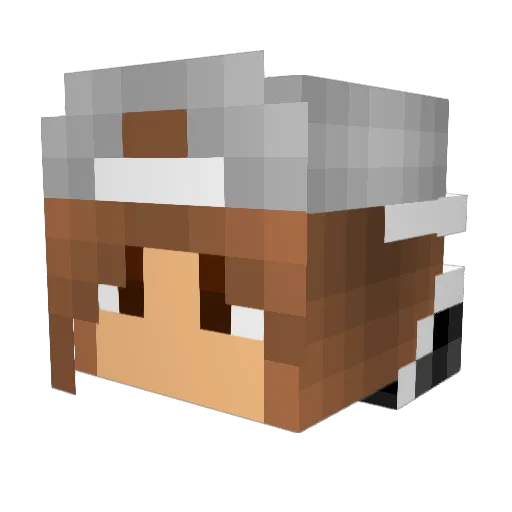 FryDizzle Minecraft avatar head, 3D render
