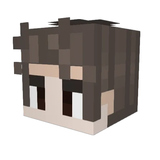FryThief Minecraft avatar head, 3D render