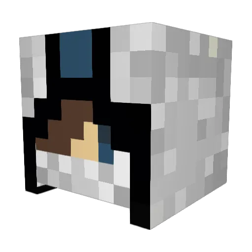 FryerFam Minecraft avatar head, 3D render