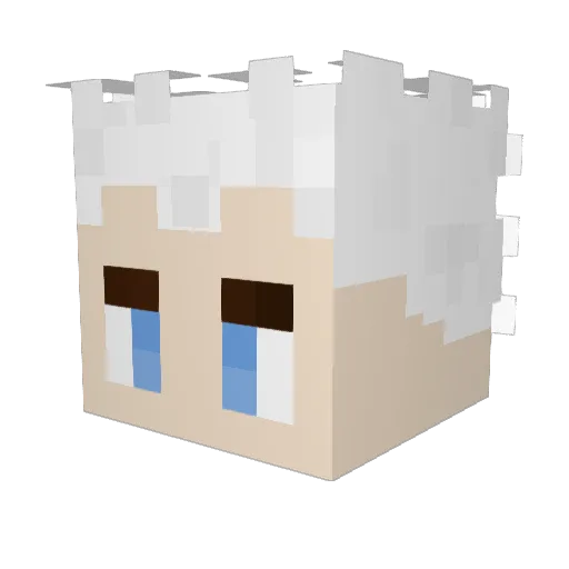 FryingFly Minecraft avatar head, 3D render