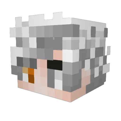 FryssyX Minecraft avatar head, 3D render