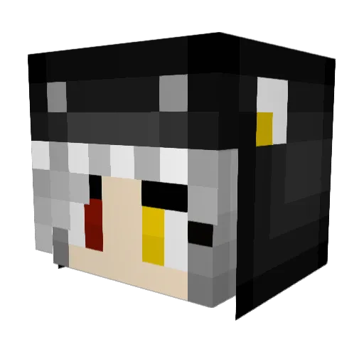 Frytownica Minecraft avatar head, 3D render