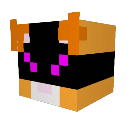 Fryz0_13 Minecraft avatar head, 3D render