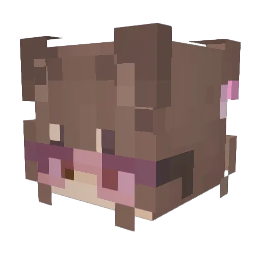 FrzJdm Minecraft avatar head, 3D render