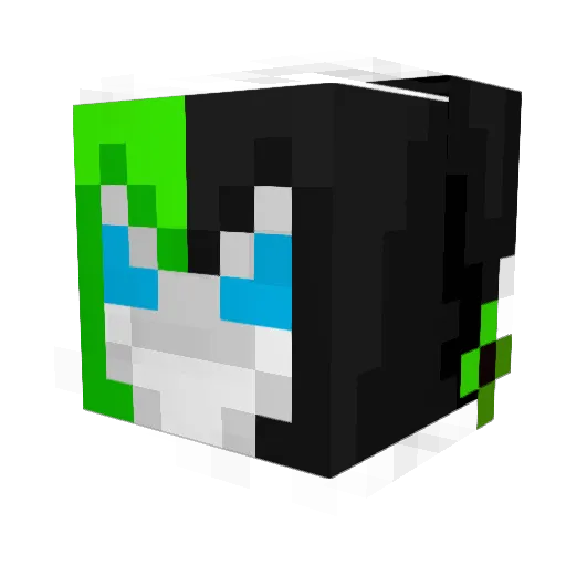 FsW_Sly Minecraft avatar head, 3D render