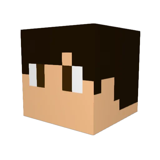 Fsanchez6543 Minecraft avatar head, 3D render