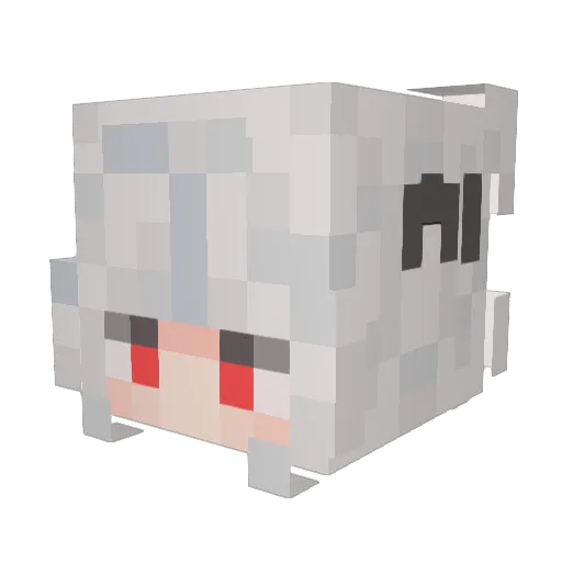 Fscg Minecraft avatar head, 3D render