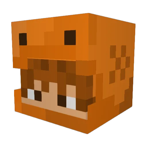 Fshstix Minecraft avatar head, 3D render