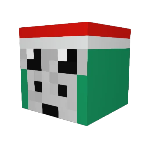 Fsuwade Minecraft avatar head, 3D render