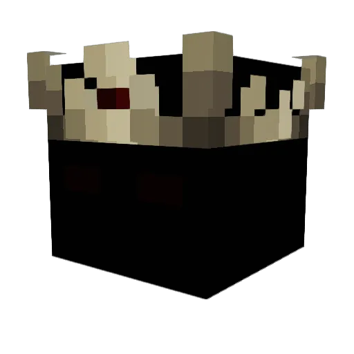 FtTTwTFtTTwT Minecraft avatar head, 3D render