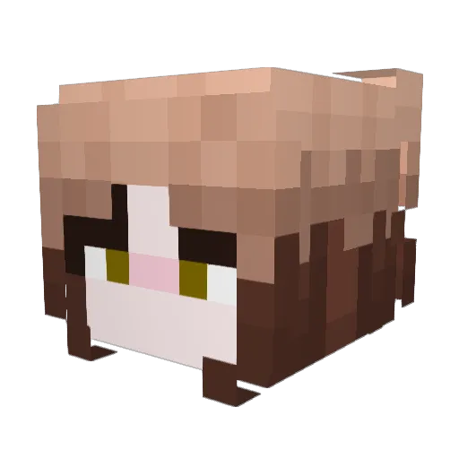 FtheSova Minecraft avatar head, 3D render