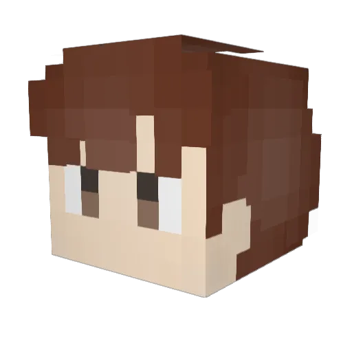FtuReV11 Minecraft avatar head, 3D render