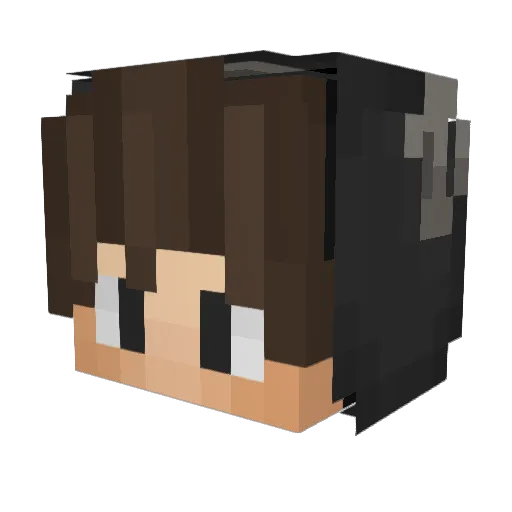 Ftzensohn Minecraft avatar head, 3D render