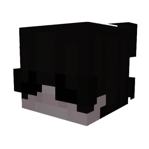 FuFuu7 Minecraft avatar head, 3D render