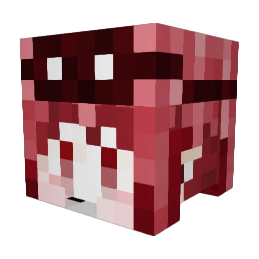 FuGongon Minecraft avatar head, 3D render