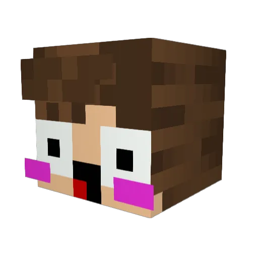 FuJicasa Minecraft avatar head, 3D render