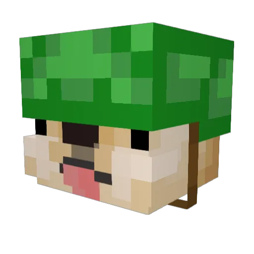 FuKonat Minecraft avatar head, 3D render