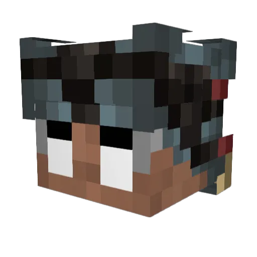 FuN4GaNG Minecraft avatar head, 3D render