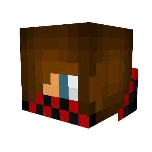 FuR1GaMeR Minecraft avatar head, 3D render