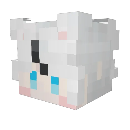 FuYu_YOYO Minecraft avatar head, 3D render
