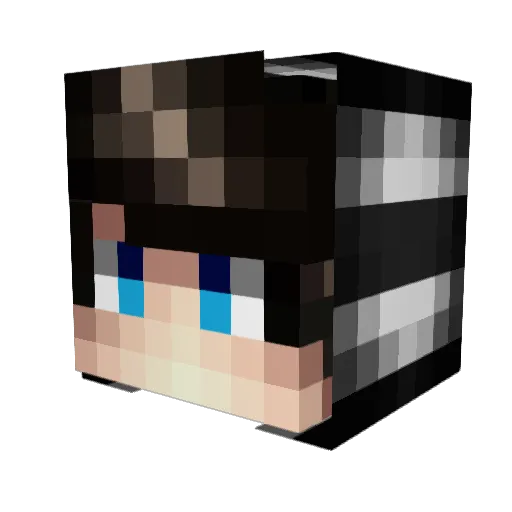 FuZzy_Bird Minecraft avatar head, 3D render