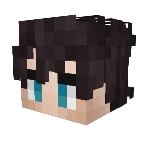 Fu_Hah Minecraft avatar head, 3D render