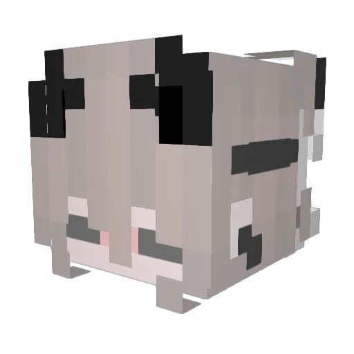 Fu_u9 Minecraft avatar head, 3D render