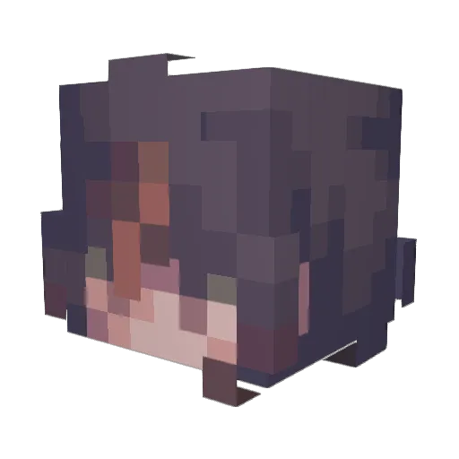 Fuamer Minecraft avatar head, 3D render