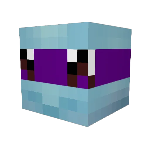 Fubaguy Minecraft avatar head, 3D render