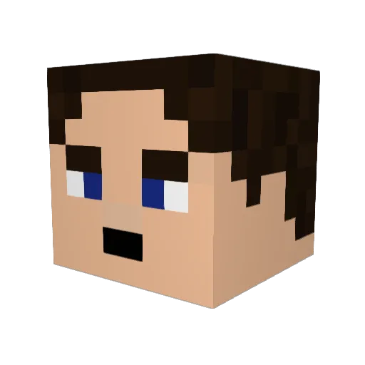 FuccFord Minecraft avatar head, 3D render
