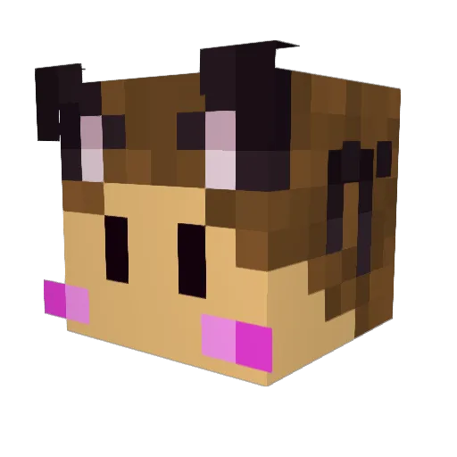 FudgeNoodles Minecraft avatar head, 3D render