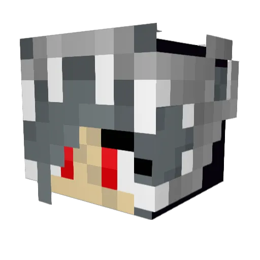 FudgePez21 Minecraft avatar head, 3D render