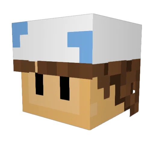 Fudgefinkleberry Minecraft avatar head, 3D render