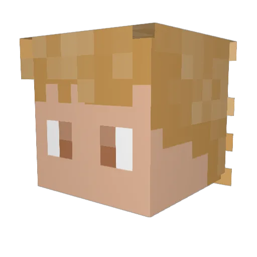 Fudgel_ Minecraft avatar head, 3D render
