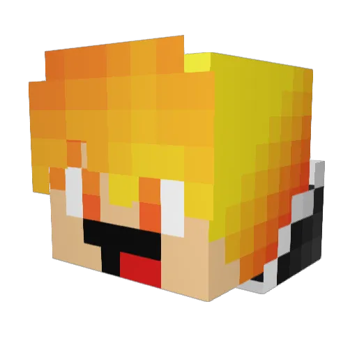 FudgeyRudgeyCam Minecraft avatar head, 3D render