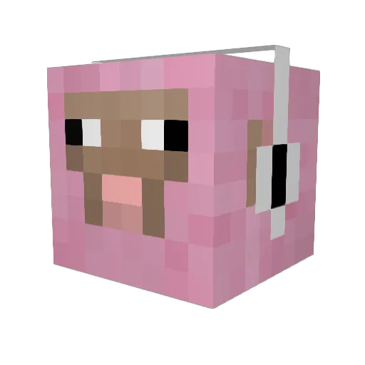 FudgieCars Minecraft avatar head, 3D render