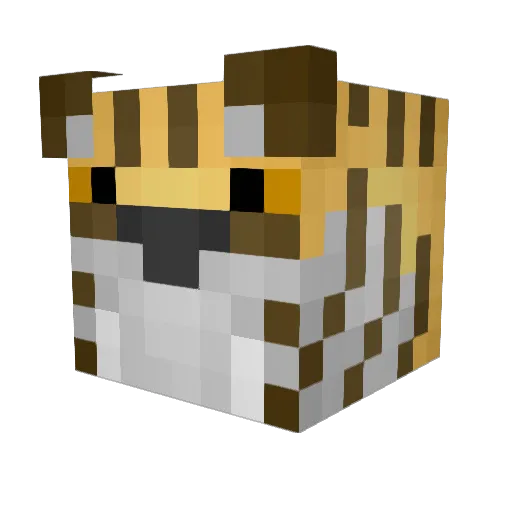 Fudgiecat Minecraft avatar head, 3D render