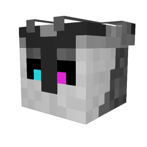 Fudoragon Minecraft avatar head, 3D render