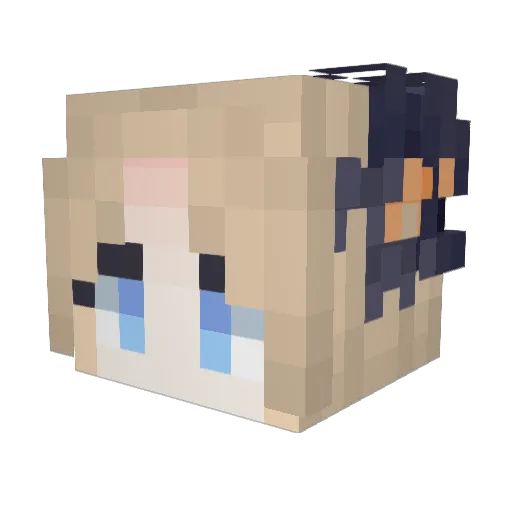 FuduJ11 Minecraft avatar head, 3D render